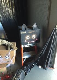 wingless-boxman-bat-d968040232b028e8768bbc63cf0d522afd6503cb